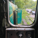 Image for article titled This Vintage Train Rotting In The Woods Of Tennessee Has A Sad Story